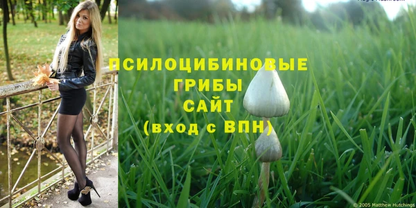 марки nbome Верхний Тагил