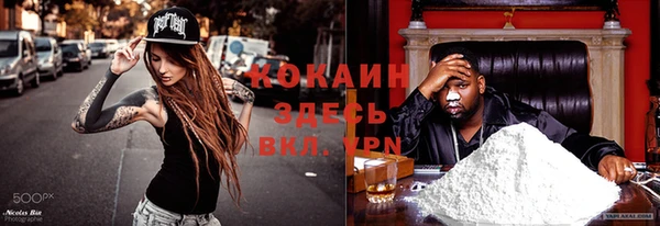 твердый Верея